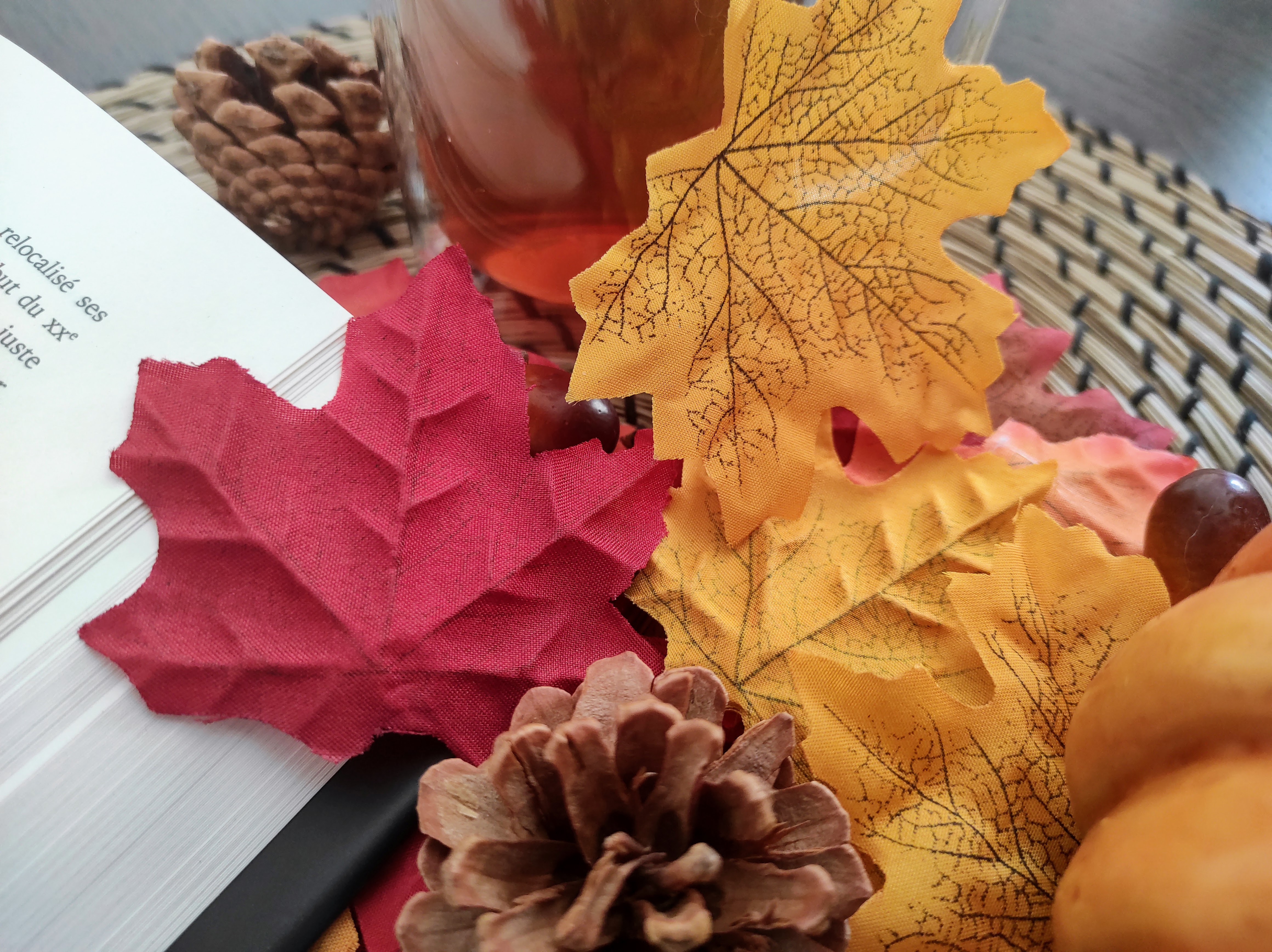 Bilan : Pumpkin Challenge 2023