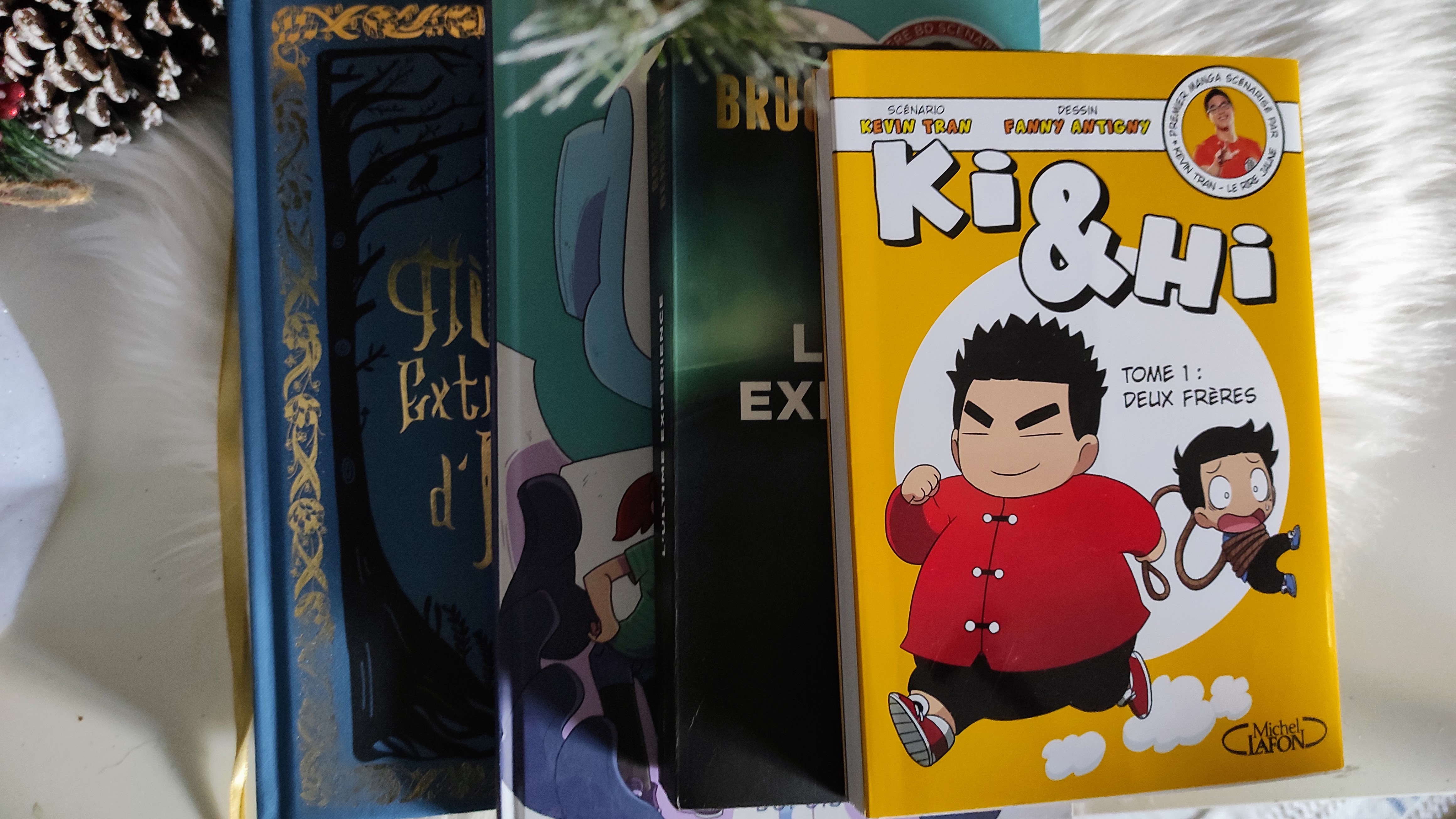 Ces livres d&rsquo;influenceurs – #1