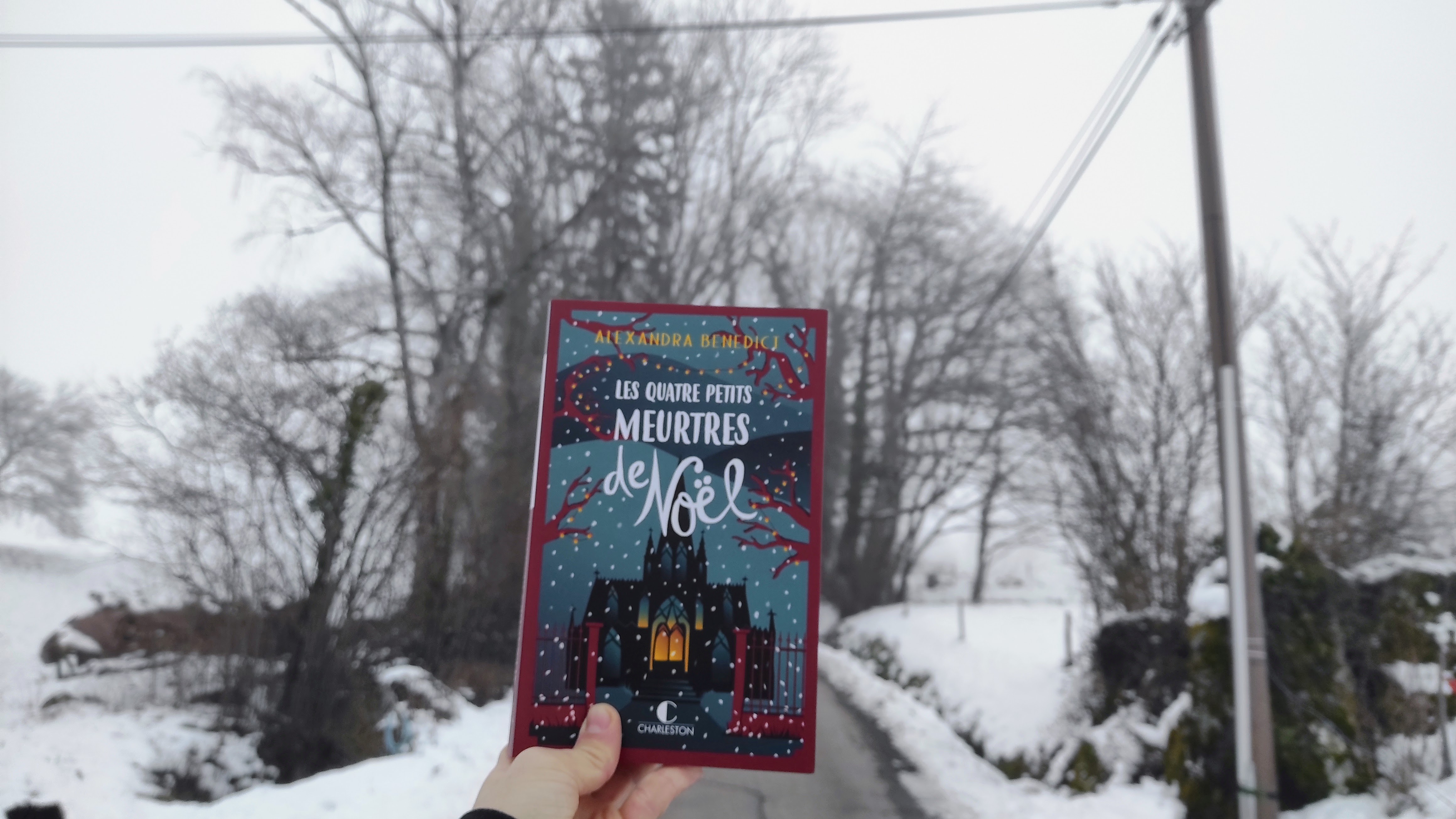 Les Quatre Petits Meurtres de Noël : Un Cozy Mystery Captivant