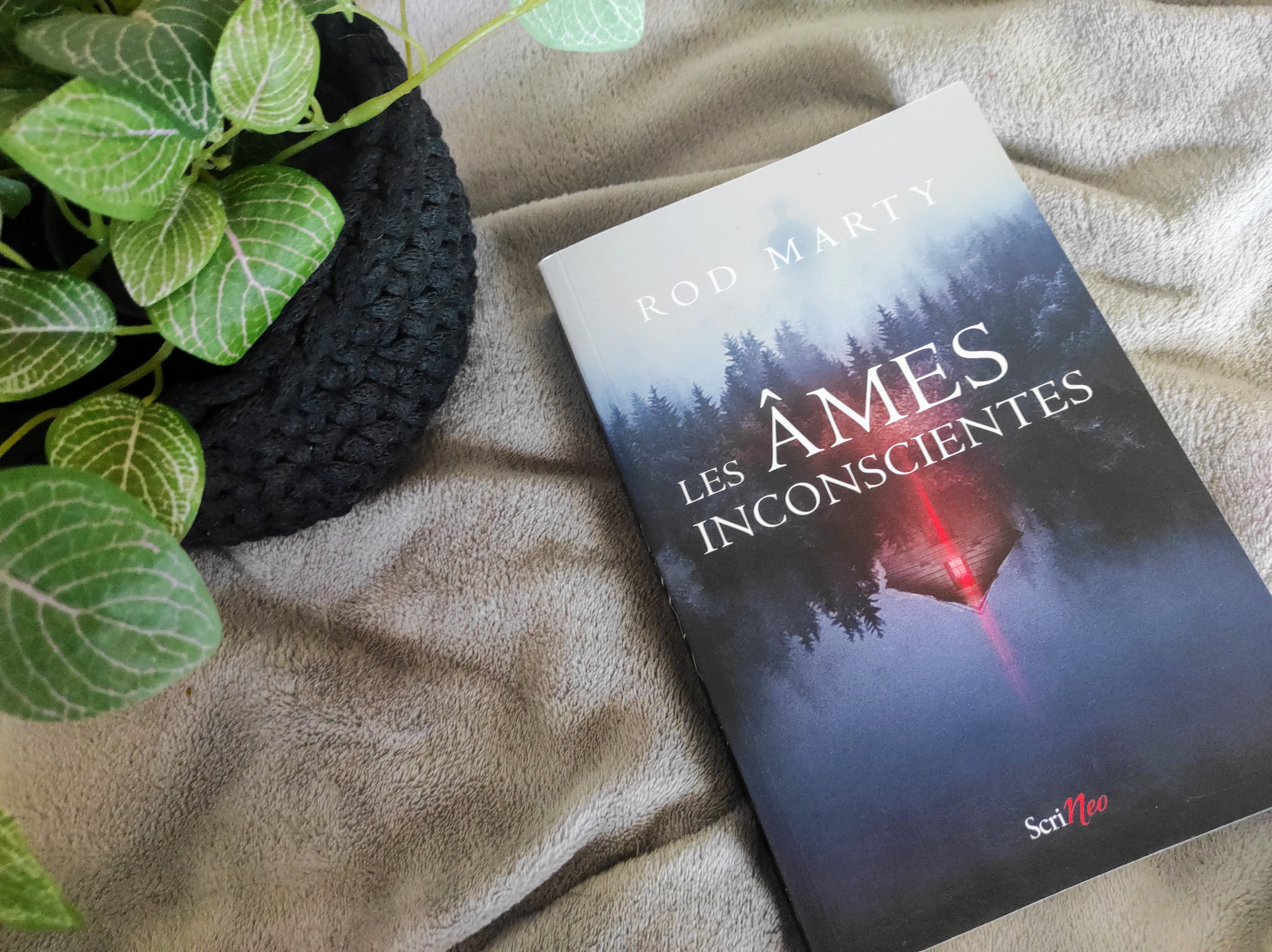 illustration âmes inconscientes